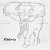 Elefante Inteiro