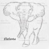Elefante Inteiro