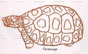 Tartaruga